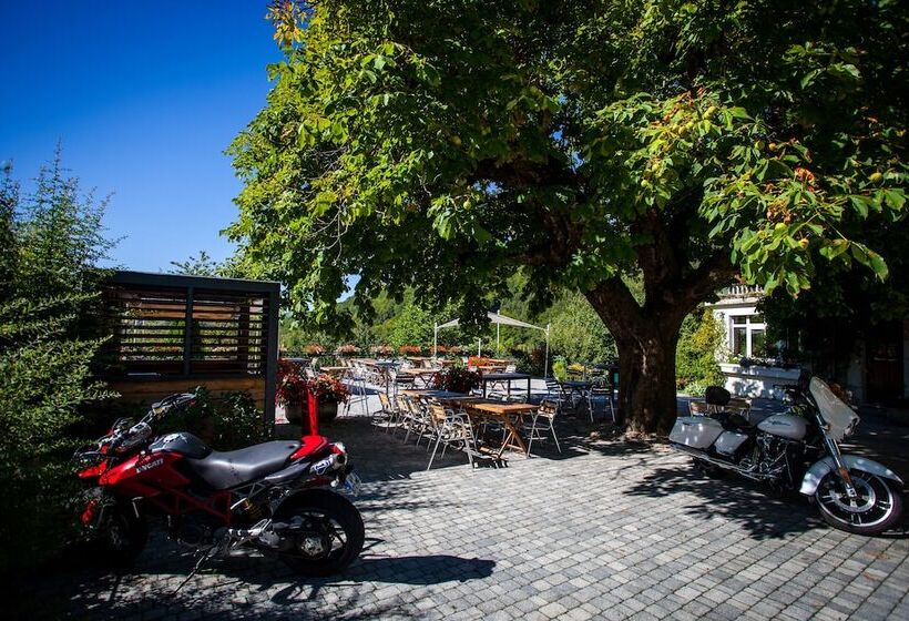 Отель Hôtel Le Marronnier