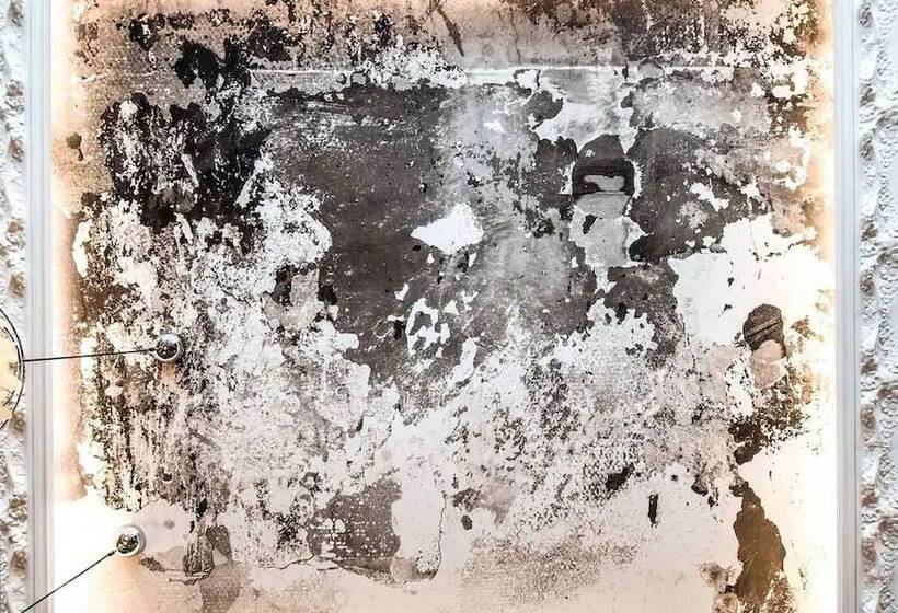 בית מלון כפרי Hôtel Des Beaux Arts Toulouse