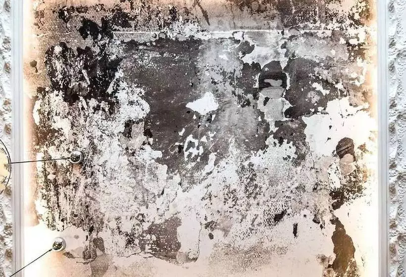 هتل Hôtel Des Beaux Arts Toulouse