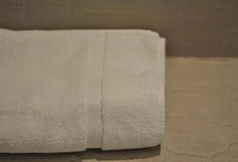 ホテル Hôtel Le France