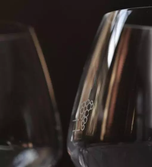 ホテル Hôtel Le France