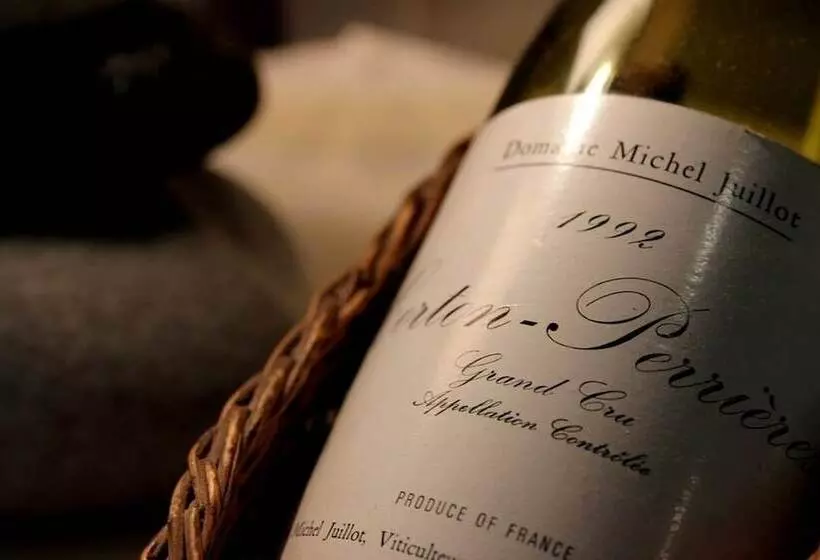 호텔 Logis Les Charmilles Chalonsursaone Sud