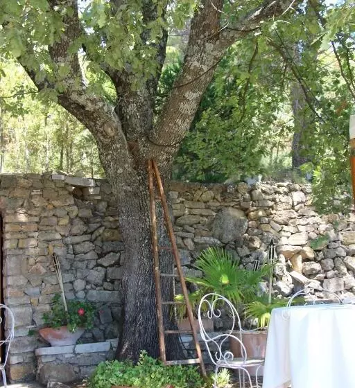 호텔 La Petite Auberge