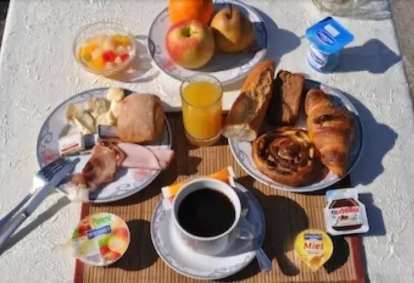 Inter Hotel Salers Le Gerfaut