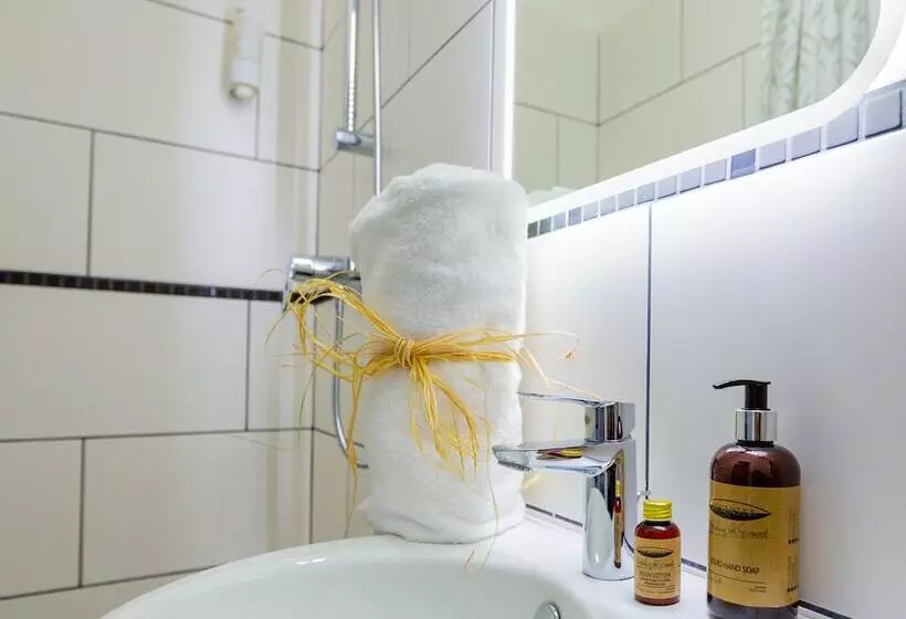 Berti Hotel   Mulhouse Centre Gare