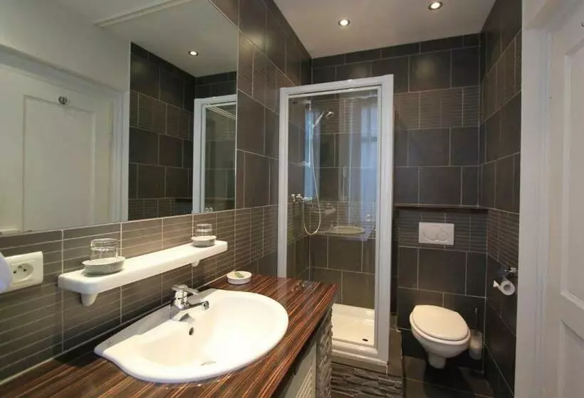 酒店 De L Europe Basel Mulhouse Airport