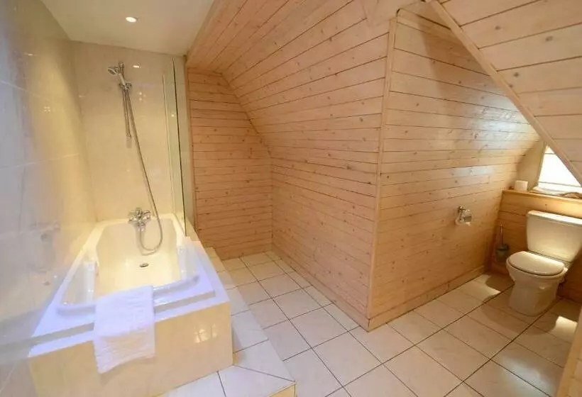 酒店 De L Europe Basel Mulhouse Airport