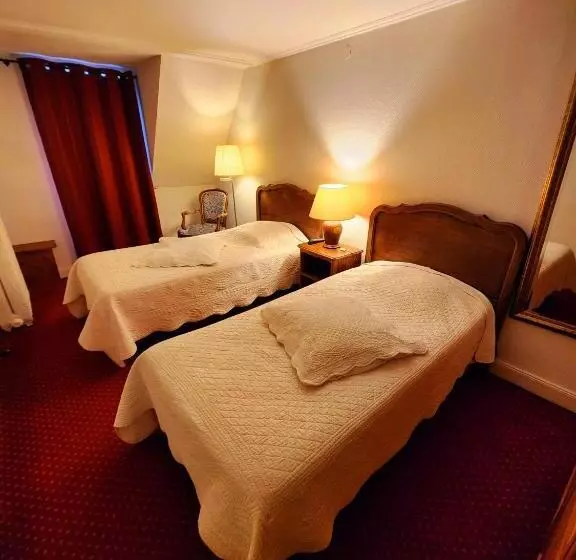 酒店 De L Europe Basel Mulhouse Airport