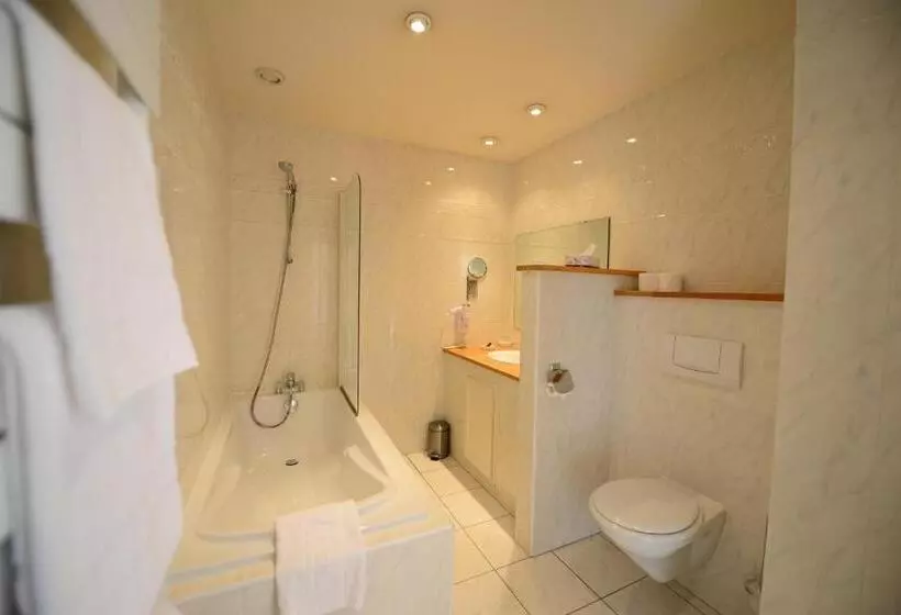 酒店 De L Europe Basel Mulhouse Airport