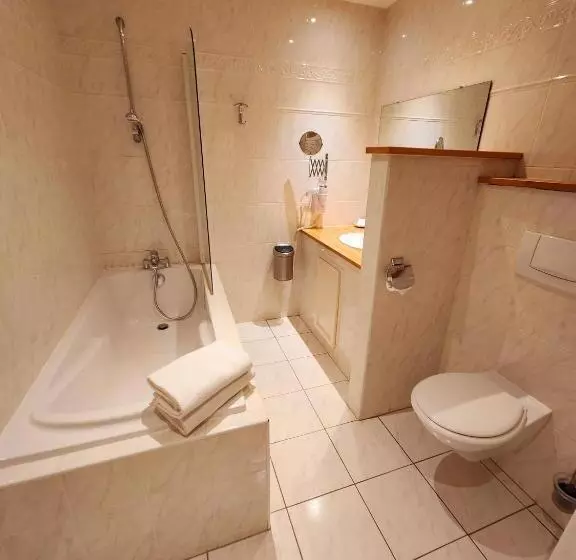 酒店 De L Europe Basel Mulhouse Airport