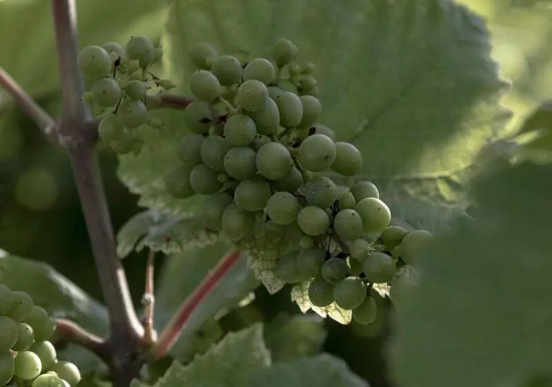 Royal Champagne Hotel & Spa