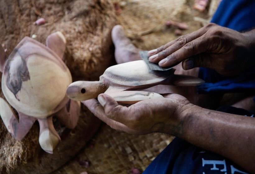 منتجع Castaway Island, Fiji
