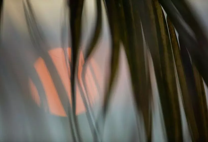 Resort Castaway Island, Fiji