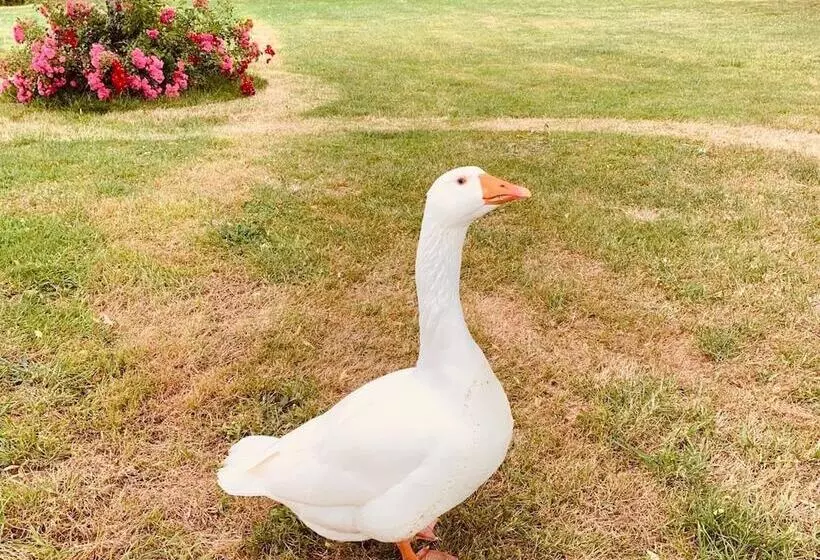 호텔 Domaine De Roullet