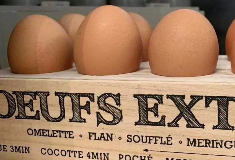 호텔 Domaine De Roullet