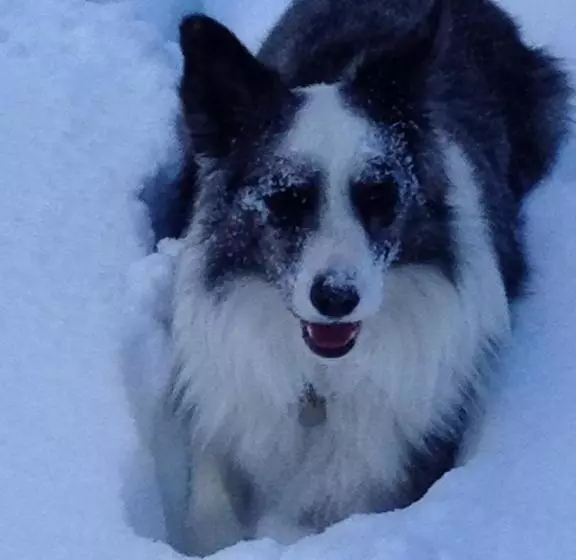 호텔 Hôtel Plein Sud Et Piscine