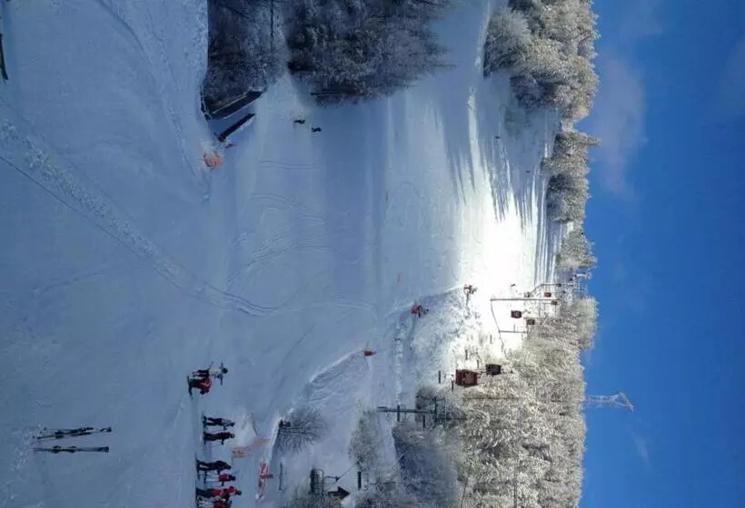 호텔 Hôtel Plein Sud Et Piscine