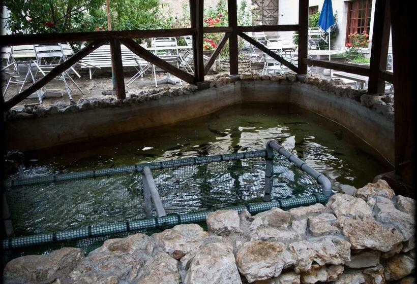 هتل Splendid Hôtel