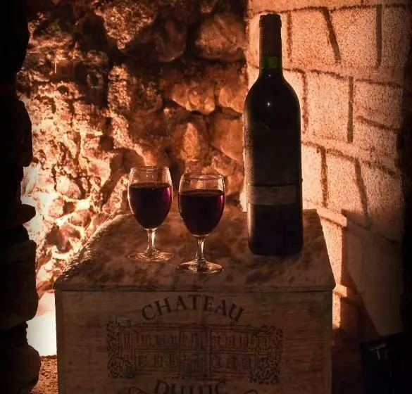 酒店 Splendid Hôtel