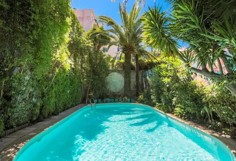 Hotel Le Windsor, Jungle Art