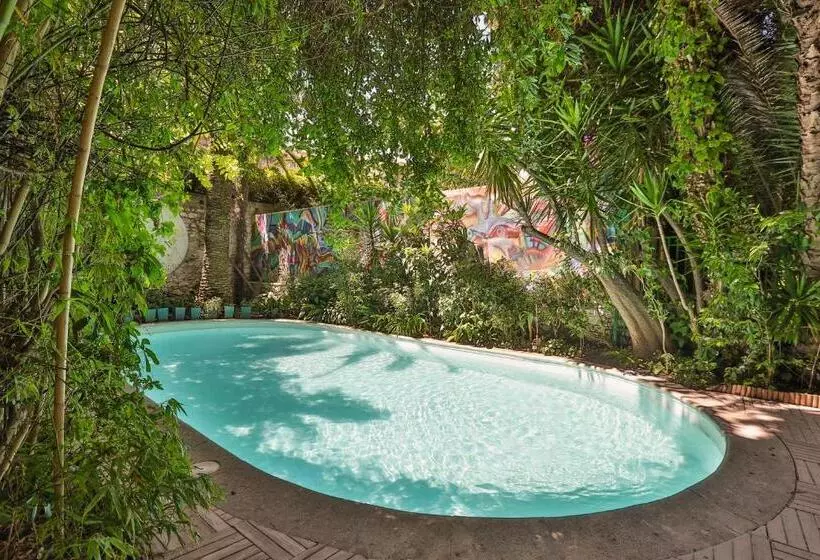 Hotel Le Windsor, Jungle Art