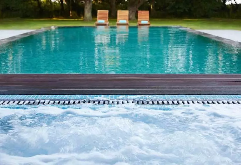 Bailiffscourt Hotel & Spa