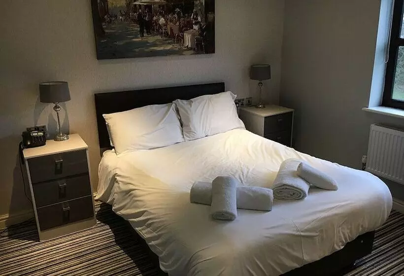 Отель Carreg Bran