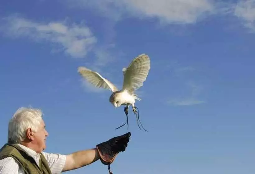 فندق The Lygon Arms   An Iconic Luxury