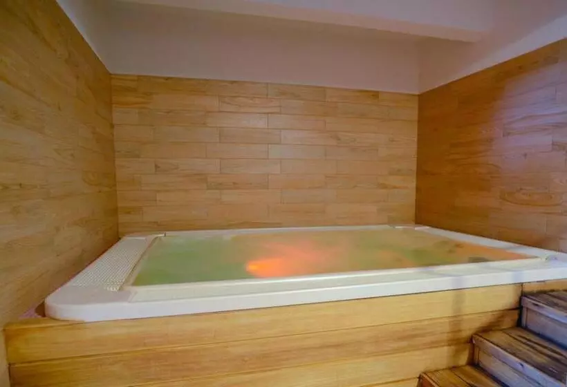 Отель Duna Wellness