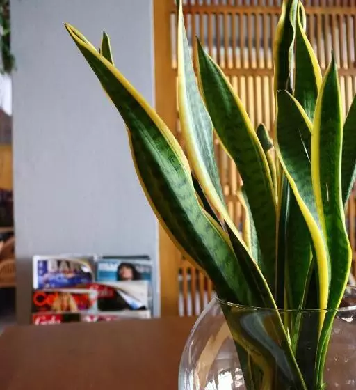 호텔 Lepanto Beach