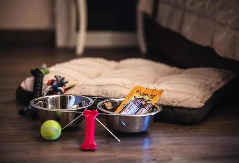 Bonotto Hotel Belvedere