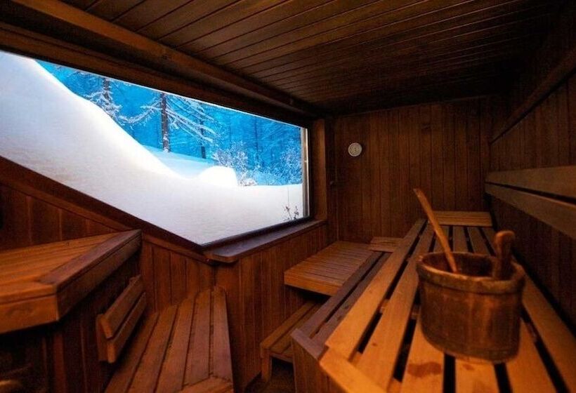 هتل Les Neiges D'antan