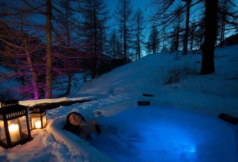 هتل Les Neiges D'antan