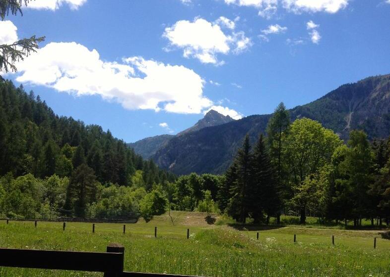 هتل Rosa Serenella