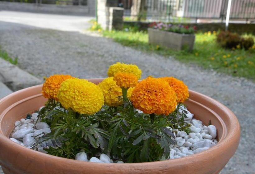 هتل Rosa Serenella