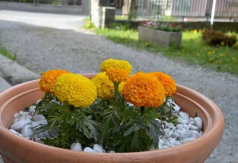 Hotel Rosa Serenella