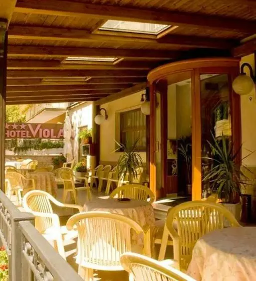 فندق Viola