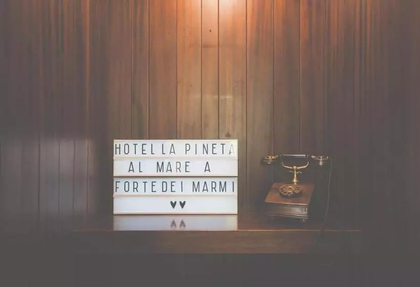 호텔 La Pineta Al Mare