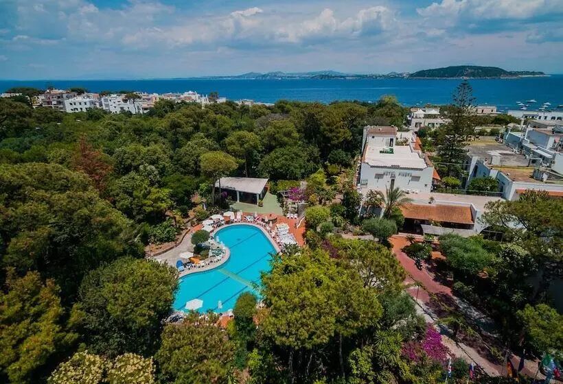 בית מלון כפרי Pineta