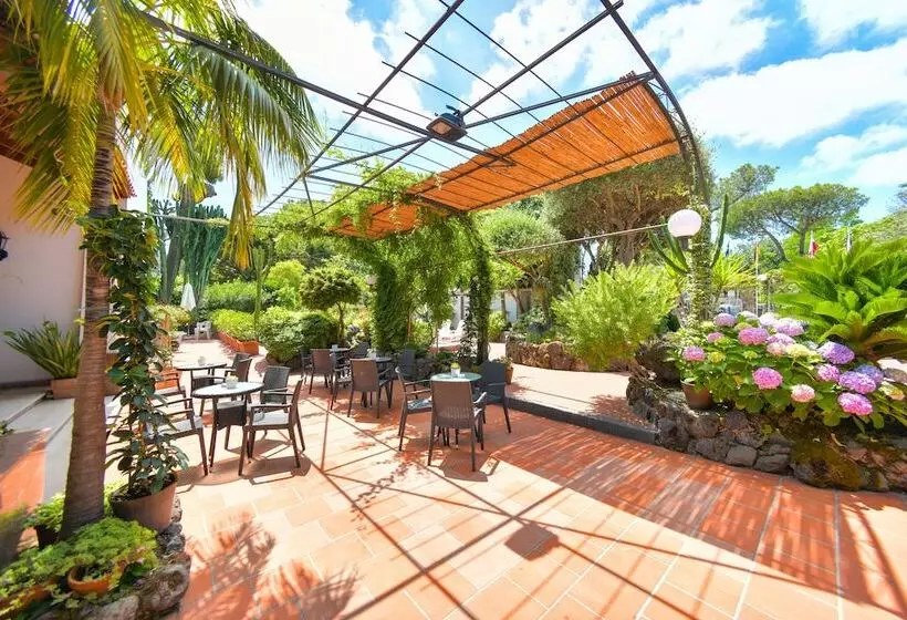 בית מלון כפרי Pineta