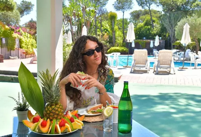 בית מלון כפרי Pineta