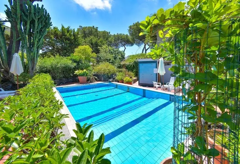 בית מלון כפרי Pineta