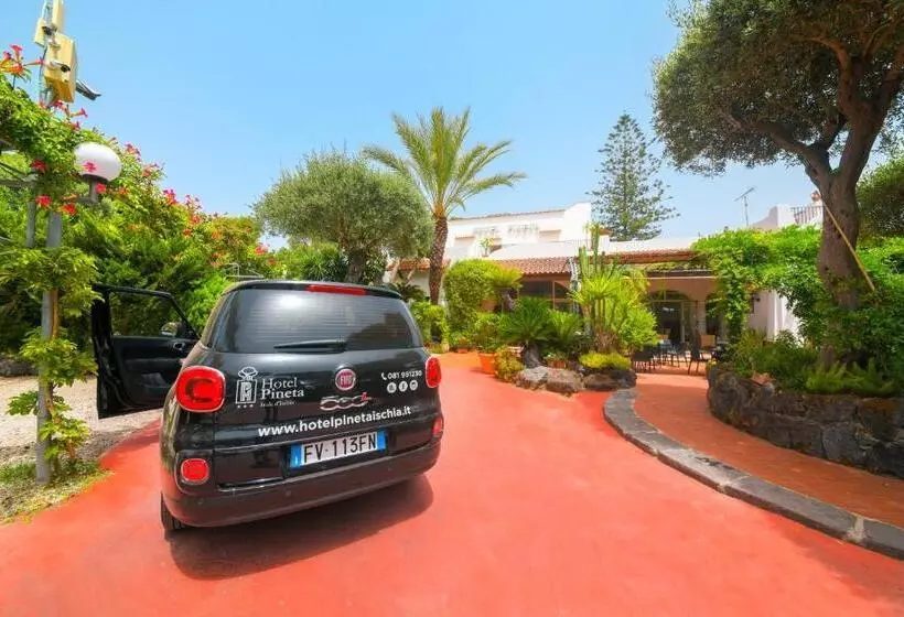 בית מלון כפרי Pineta