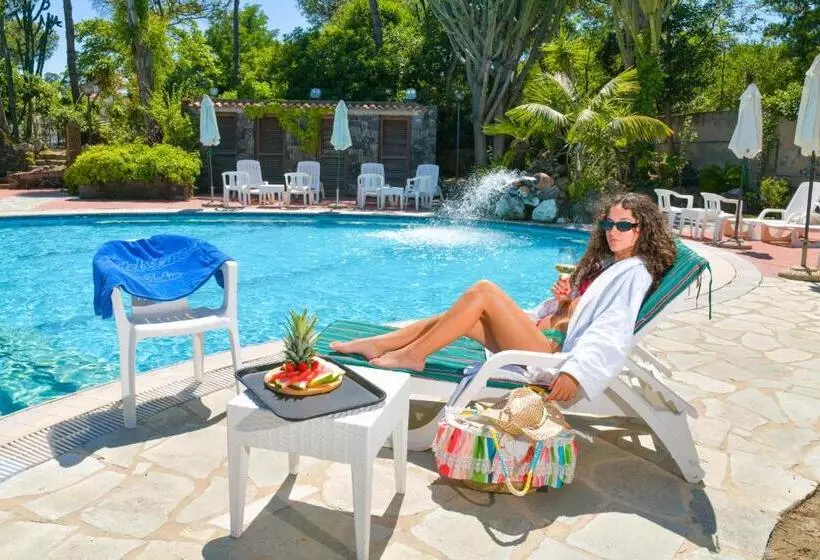 בית מלון כפרי Pineta