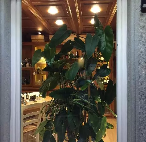 膳宿费 Val Del Rio