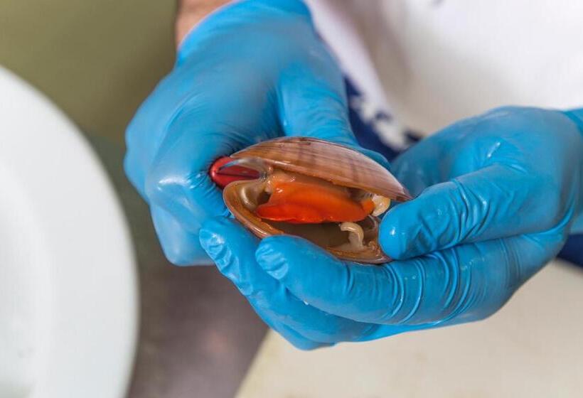 בית מלון כפרי Mara