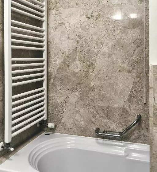 هتل Ambassador Palace