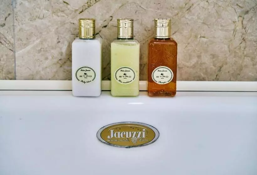 هتل Ambassador Palace