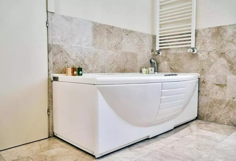 هتل Ambassador Palace