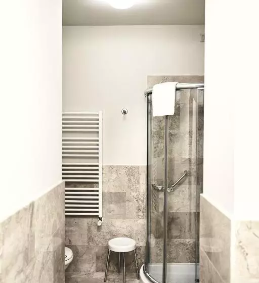 هتل Ambassador Palace